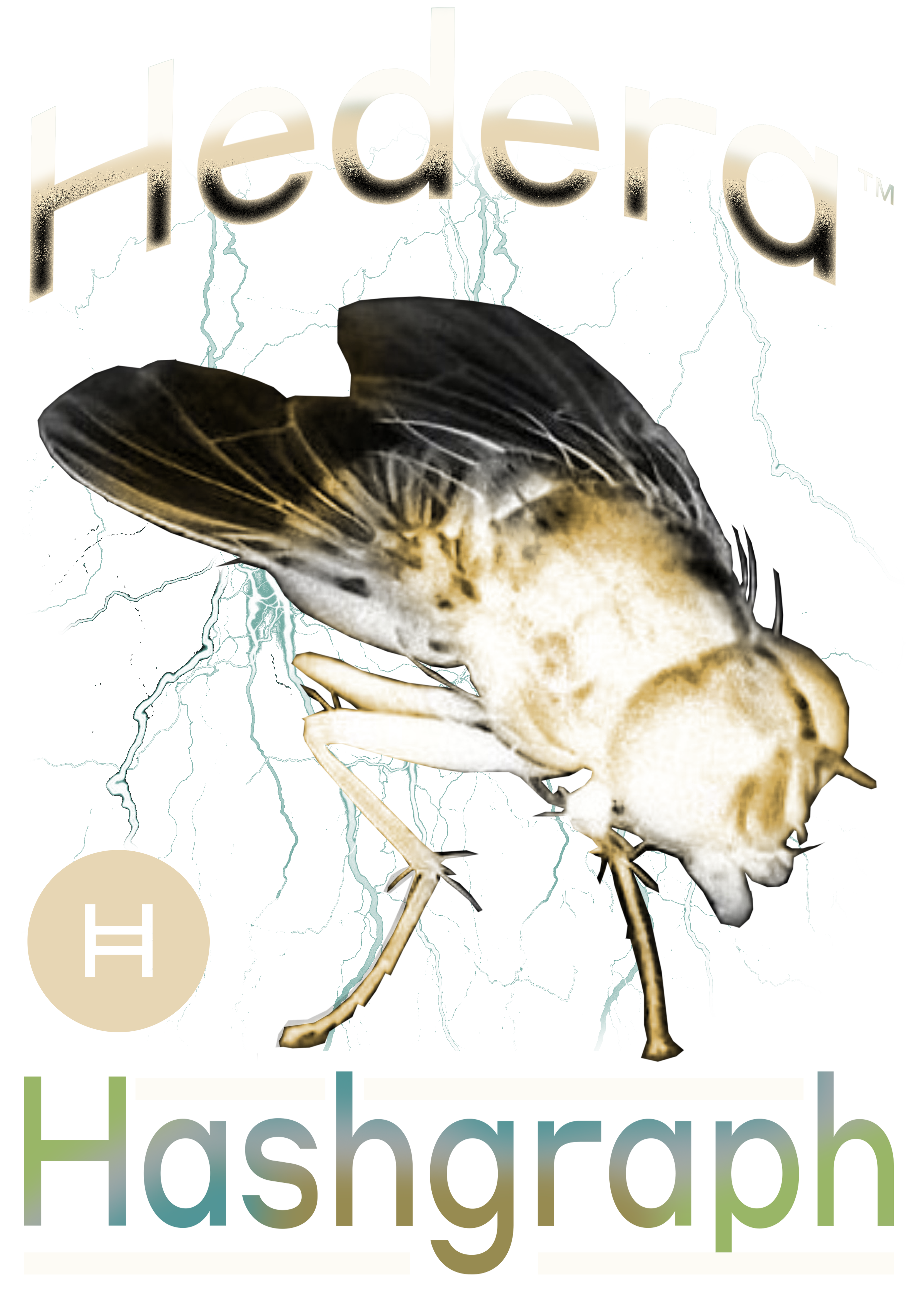 HBAR NFT Collection fly under radar